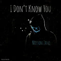 I Don't Know You - Single by Nosson Zand album reviews, ratings, credits