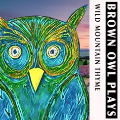 Wild Mountain Thyme - Single by Brown Owl Plays album reviews, ratings, credits