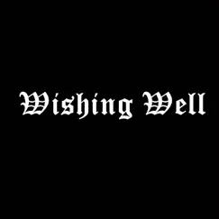 Wishing Well - Single by Lil Omorashi album reviews, ratings, credits