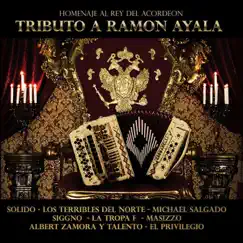 Ramon Ayala Tribute - Homenaje al Rey del Acordeon by Ramón Ayala album reviews, ratings, credits