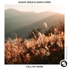 Call My Name - Single by Sugar Jesus & Adam Lyons album reviews, ratings, credits