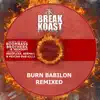 Burn Babylon (Remixes) - Single album lyrics, reviews, download