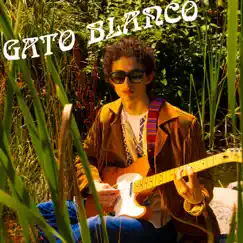 Your love is pain (feat. Ian Fredrickson & Alex Dewell) - Single by Gato Blanco album reviews, ratings, credits