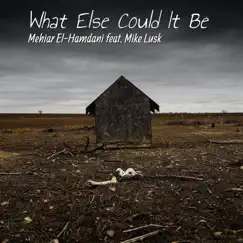 What Else Could It Be (feat. Mike Lusk) - Single by Mehiar El-Hamdani album reviews, ratings, credits