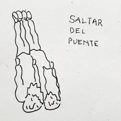 Saltar del Puente - Single by Agustin Casulo & Lucas Cary album reviews, ratings, credits