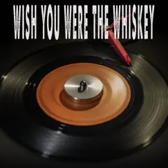 Wish You Were the Whiskey (Originally Performed by Priscilla Block) [Instrumental] - Single by Vox Freaks album reviews, ratings, credits