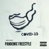 Pandemic Freestyle (Radio Edit) - Single album lyrics, reviews, download