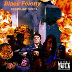 Something Wrong - Single by Black Felony album reviews, ratings, credits