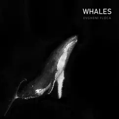 Whales - Single by Evgheni Floca album reviews, ratings, credits