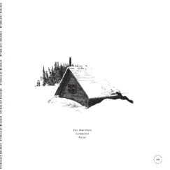 Polar - Single by Coldbrew & Etymology Records album reviews, ratings, credits