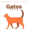 Música Calmante para Gatos 2019 - Sonidos Relajantes Zen album lyrics, reviews, download