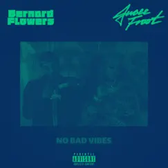 No Bad Vibes (feat. Jucee Froot) Song Lyrics