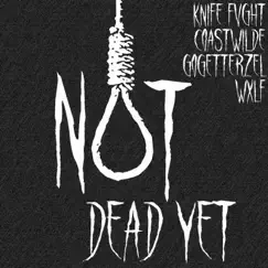 NOT Dead YET (feat. Coastwilde, Zel Woods & Wxlf) - Single by Knifefvght album reviews, ratings, credits