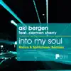 Into My Soul (feat. Carmen Sherry & Spiritchaser) [Spiritchaser Remix] song lyrics