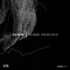 Numb - VIP - Single by 28mm album reviews, ratings, credits