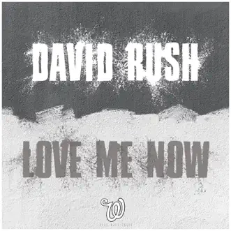 Download Love Me Now David Rush MP3