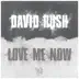 Love Me Now - Single album cover