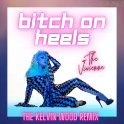 Bitch On Heels (Kelvin Wood Radio Mix) Song Lyrics