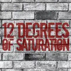 12 Degrees of Saturation by 12 Degrees of Saturation album reviews, ratings, credits