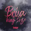 Brisa e King Size - Single album lyrics, reviews, download