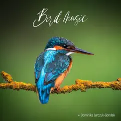 Bird Music - Single by Dominika Jurczuk-Gondek album reviews, ratings, credits