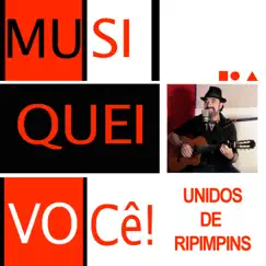 Musiquei Você! Unidos de Ripimpins Song Lyrics