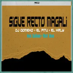 Sigue Recto Magali (feat. Mstr Jhon & Sulivan) - Single by Dj GoMeko, El Pitu & El Krly album reviews, ratings, credits