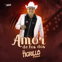 Amor de los Dos by El Tigrillo Palma album reviews, ratings, credits
