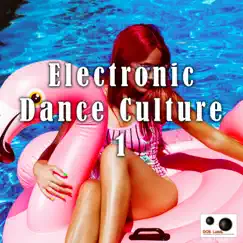 Electronic Dance Culture 1 by Various Artists album reviews, ratings, credits