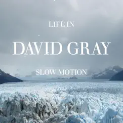 Life in Slow Motion by David Gray album reviews, ratings, credits
