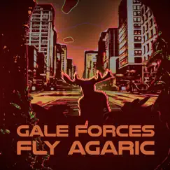 Fly Agaric Song Lyrics