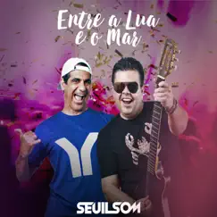 Entre a Lua e o Mar (feat. Durval Lelys) [Dub Remix] - Single by Seuilsom album reviews, ratings, credits