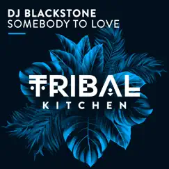 Somebody to Love (Radio Edit) - Single by DJ Blackstone album reviews, ratings, credits