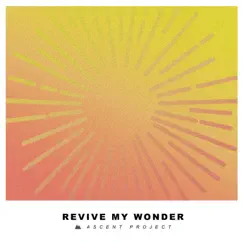 Revive My Wonder - Single by Ascent Project album reviews, ratings, credits