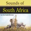 Sounds of South Africa (Raw African Sounds with no Music) album lyrics, reviews, download