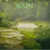 Sound of Falling Rain mp3 download