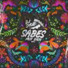 Sabes Muy Bien (DJ Shub Remix) - Single album lyrics, reviews, download