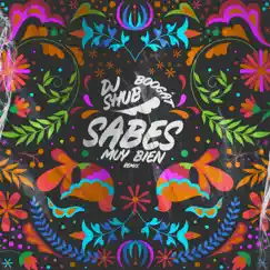 Sabes Muy Bien (DJ Shub Remix) Song Lyrics