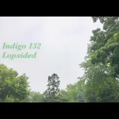 Lopsided - Single by Indigo 132 album reviews, ratings, credits
