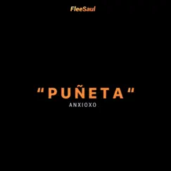 Puñeta Song Lyrics