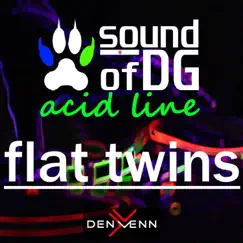 Flat Twins - Single by Sound of DG album reviews, ratings, credits
