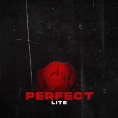 Perfect - Single by Light album reviews, ratings, credits
