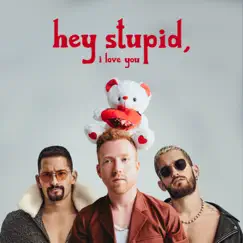 Hey Stupid, I Love You (Spanglish Version) Song Lyrics
