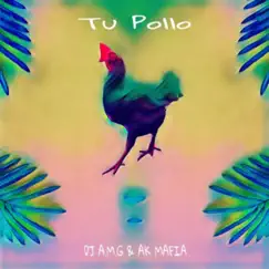 Tu Pollo (feat. AK Mafia) Song Lyrics