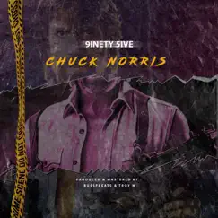 Chuck Norris - Single by 9inety5ive album reviews, ratings, credits