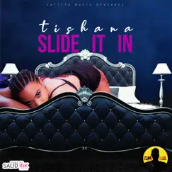 Slide It In - Single by Tishana album reviews, ratings, credits