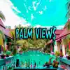 Palm View$ (feat. Cozy & Chugi808) - Single album lyrics, reviews, download