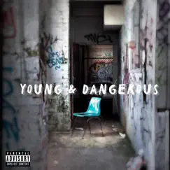 YOUNG & DANGEROUS (feat. JP Beatz) - Single by Stilehendrixx album reviews, ratings, credits