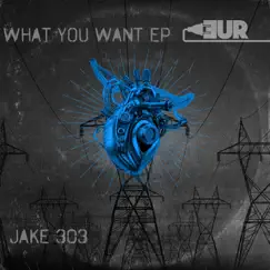 What You Want - Single by Jake 303 album reviews, ratings, credits