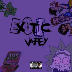 Exotic - Single by Vapey album reviews, ratings, credits